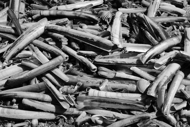 bKNE240720160997 mini